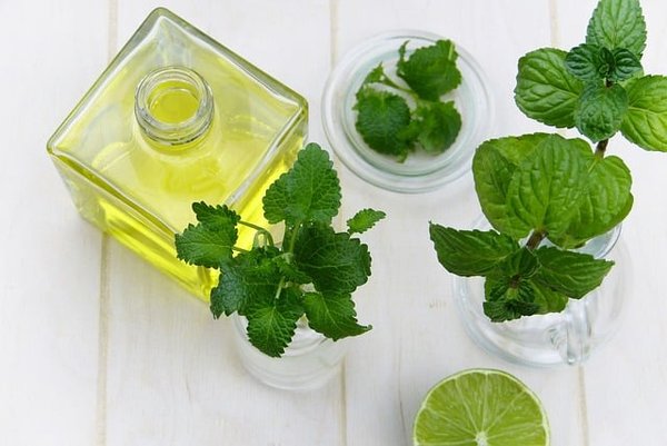 Quels sont les produits de pharmacie à base de plantes ou d'huiles essentielles ?